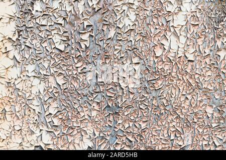 Abstract cracked paint texture. Background of old eroded coating in artistic detail. Dried rough white layer flaking on gray surface. Random pattern. Stock Photo