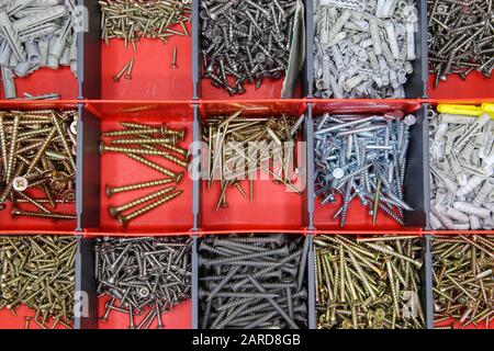 Top view on red tool box with square compartments with screws and dowels Stock Photo