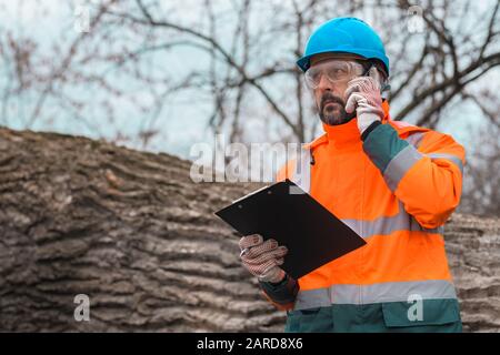 Forestry technician talking on mobile phone in forest during logging deforestation process Stock Photo