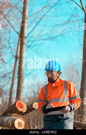 Forestry technician using digital tablet computer in forest for logging data collecting during deforestation Stock Photo