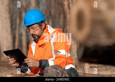 Forestry technician using digital tablet computer in forest for logging data collecting during deforestation Stock Photo