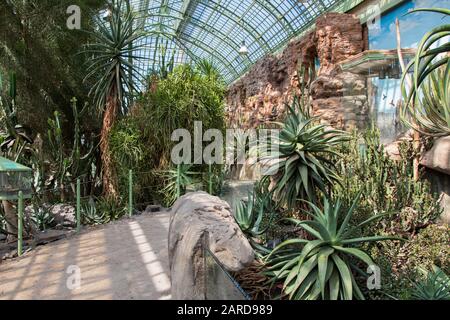 The Wüstenhaus Schönbrunn (Schönbrunn Desert House) desert botanical exhibit in Vienna, Austria Stock Photo