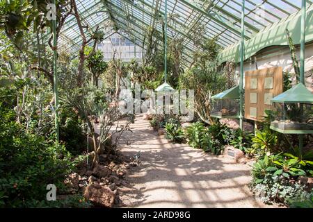 Vienna, Austria - September 3, 2019: The Desert House - desert botanical exhibit in Vienna, Austria. Stock Photo