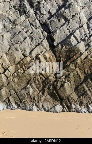 Carboniferous limestone rocks at Caswell Bay beach at Mumbles on the Gower peninsula, near Swansea, Wales, UK Stock Photo