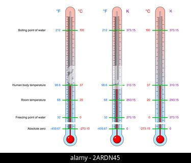 Thermometers With Scale Of Celsius, Kelvin, Fahrenheit. Vector 