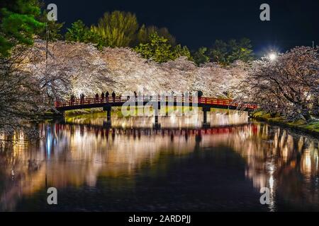 Hirosaki park cherry blossom matsuri festival light up at night. Beauty full bloom pink flowers in west moat Shunyo-bashi Bridge and lights illuminate Stock Photo