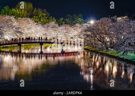 Hirosaki park cherry blossom matsuri festival light up at night. Beauty full bloom pink flowers in west moat Shunyo-bashi Bridge and lights illuminate Stock Photo