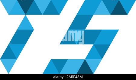 TS triangle geometric pixel letters logo design. corporate identity. Tech company logo concept. Stock Vector illustration isolated on white background Stock Vector
