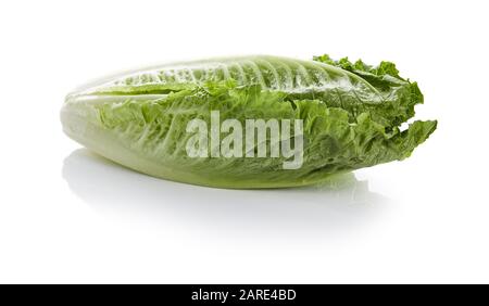 Romaine Lettuce Isolated on White Background Stock Photo