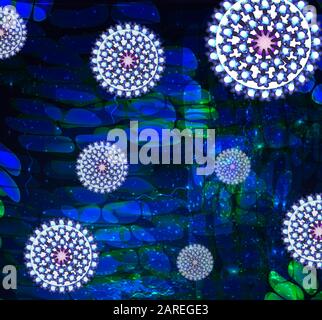 Human Papilloma Virus Background. Infographics. Vector illustration on isolated background. Stock Vector