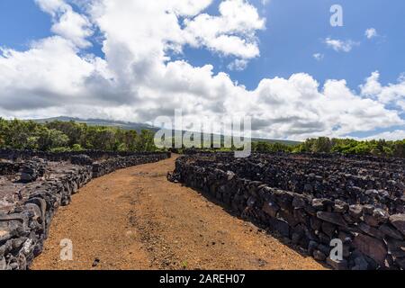 Clouds cover mount Pico behind a vineyard road on Pico island in the Azores, Portugal. Stock Photo