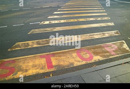 Yellow Stripes Crosswalk with the word STOP on the Street of Downtown Yerevan, Armenia Stock Photo