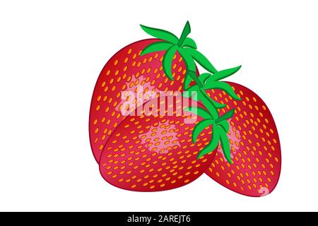 Three red strawberries with leaves isolated on white background. Realistic vector ripe strawberry with a stem icon for label, sign, poster, menu. Stock Vector