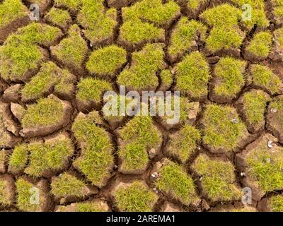 The land with dry ground and grass covered global warming Stock Photo