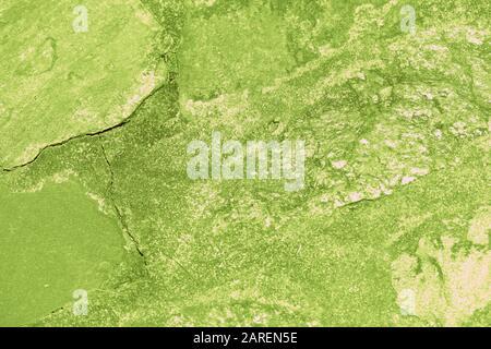 Stone path in the garden close-up . Abstract background green color toned Stock Photo