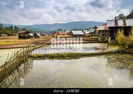 Traditional village Hong of the Apatani tribe in the hills of Ziro area Stock Photo