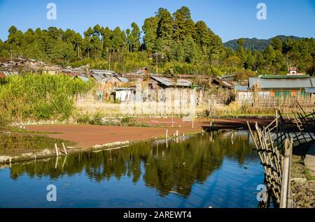 Typical village structure of the Apatani tribe in Ziro region Stock Photo