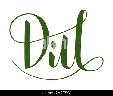 Vector hand written dill text isolated on white background. Kitchen healthy herbs and spices for cooking. Script brushpen lettering with flourishes. H Stock Vector