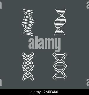 DNA chains chalk icons set. Deoxyribonucleic, nucleic acid helix. Spiraling strands. Chromosome. Molecular biology. Genetic code. Genome. Genetics. Me Stock Vector