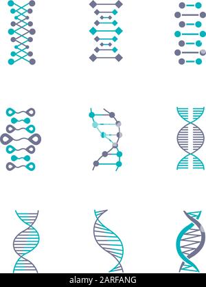 DNA double helix violet and turquoise color icons set. Deoxyribonucleic, nucleic acid structure. Chromosome. Molecular biology. Genetic code. Genome. Stock Vector