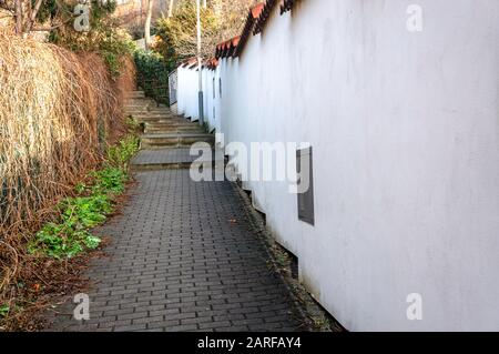 Shaded footpath with stairs up a hill along a white wall and overgrown vines in early spring Stock Photo