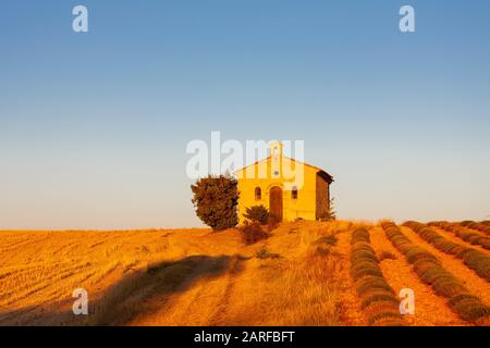 chapel with lavender field, Plateau de Valensole, Provence, France.