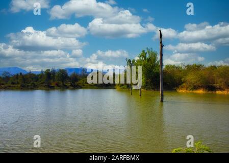 This unique photo shows one of Thailand's beautiful natural lakes growing out of the tree trunk! In the background you can still see the mountains Stock Photo