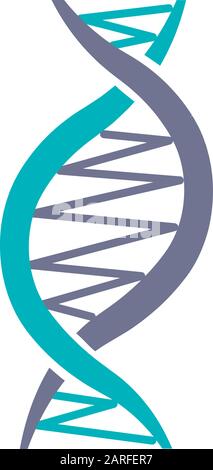 Left-handed DNA helix violet and turquoise color icon. Z-DNA. Deoxyribonucleic, nucleic acid structure. Spiral strand. Chromosome. Molecular biology. Stock Vector
