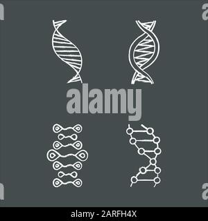 DNA strands chalk icons set. Deoxyribonucleic, nucleic acid helix. Spiraling strands. Chromosome. Molecular biology. Genetic code. Genome. Genetics. M Stock Vector