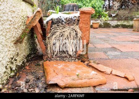 frost damage to terracotta garden plant pot Stock Photo