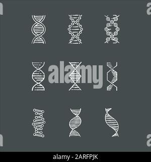 DNA spirals chalk icons set. Deoxyribonucleic, nucleic acid helix. Spiraling strands. Chromosome. Molecular biology. Genetic code. Genome. Genetics. M Stock Vector