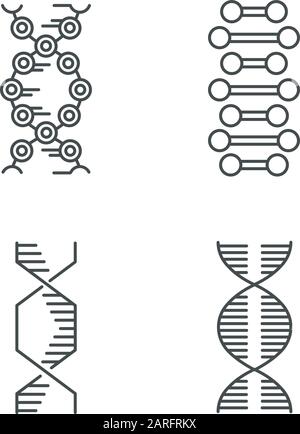 DNA chains linear icons set. Deoxyribonucleic, nucleic acid helix ...