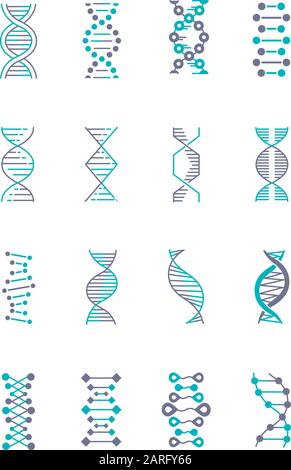DNA double helix violet and turquoise color icons set. Deoxyribonucleic ...