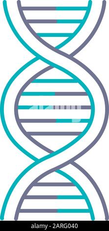 DNA Helix Violet And Turquoise Color Icon. Z-DNA. Connected Dots, Lines ...