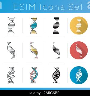 DNA spiral chains icons set. Deoxyribonucleic, nucleic acid helix. Spiraling strand. Chromosome. Molecular biology. Genetics. Flat design, linear, bla Stock Vector