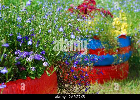 Flower beds arranged in old tires painted in bright colors. DIY garden decoration Stock Photo