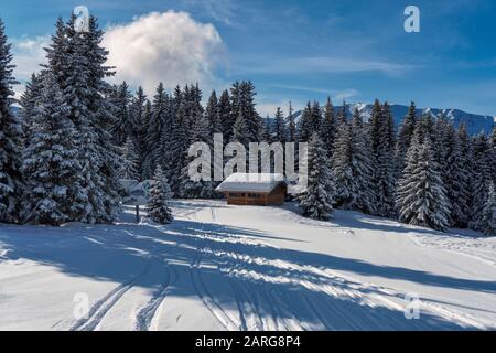 Small wooden building surrounded by pine trees after new snow in the French ski resort of Meribel in the three valleys. Stock Photo