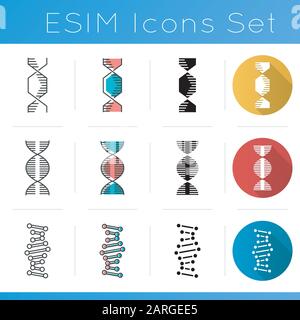 DNA double helix icons set. Deoxyribonucleic, nucleic acid. Spiraling strands. Chromosome. Molecular biology. Genetic code. Flat design, linear, black Stock Vector