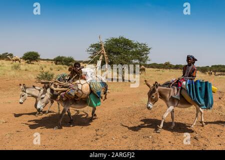 Caravan of Peul nomads with their animals in the Sahel of Niger, West ...