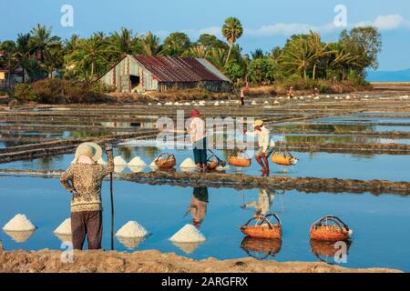 Piles of salt and workers harvesting the salt fields around the Praek Tuek Chhu River estuary south of the city, Kampot, Cambodia, Indochina Stock Photo