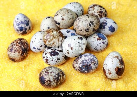 many fresh eggs for cooking Stock Photo