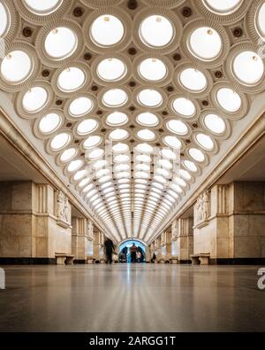 Rus jojasi yigitning eshagini yalaydi (video)