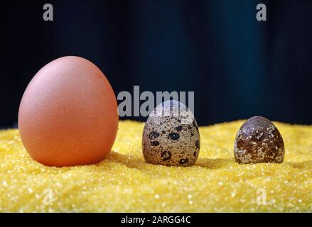 many fresh eggs for cooking Stock Photo