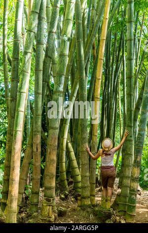 Beautiful woman looking up in the Bamboo forest, Pamplemousses Botanical Garden, Mauritius, Africa Stock Photo
