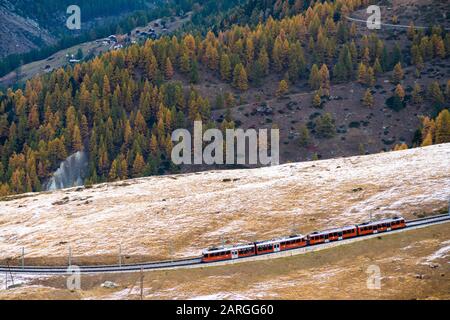 Gornergrat Bahn train runs among colorful woods in autumn, Zermatt, canton of Valais, Swiss Alps, Switzerland, Europe Stock Photo