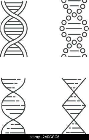 DNA spiral strands linear icons set. Deoxyribonucleic, nucleic acid helix. Molecular biology. Genetic code. Genetics. Thin line contour symbols. Isola Stock Vector