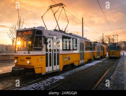 Budapest tram at sunrise, Budapest, Hungary, Europe Stock Photo