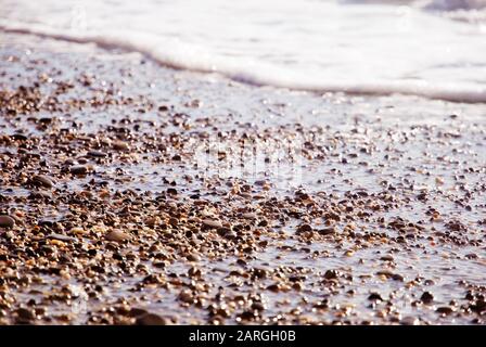 Wet pebbles and sand on the water edge in sunlight Stock Photo