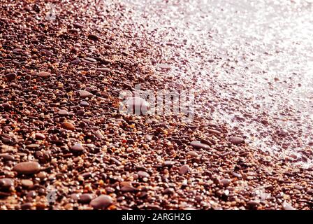Wet pebbles on sea shore in pink sunlight Stock Photo