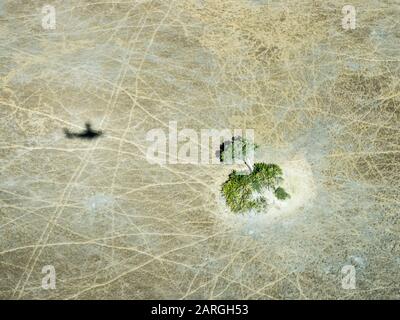 Aerial view of the Okavango Delta during drought conditions in early fall, Botswana, Africa